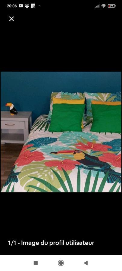 Happy Bed & Breakfast Шоле Екстериор снимка